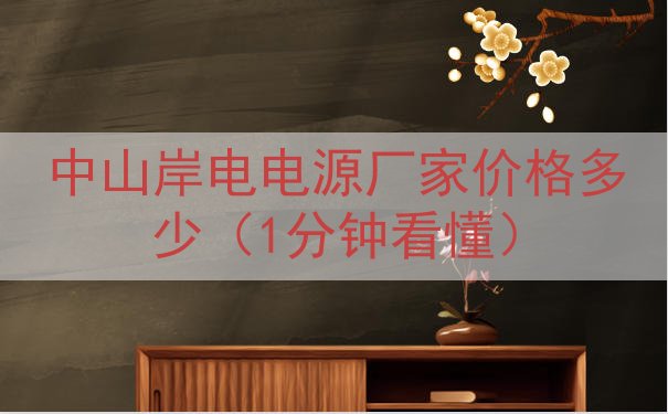 中山岸电电源厂家价格多少（1分钟看懂）