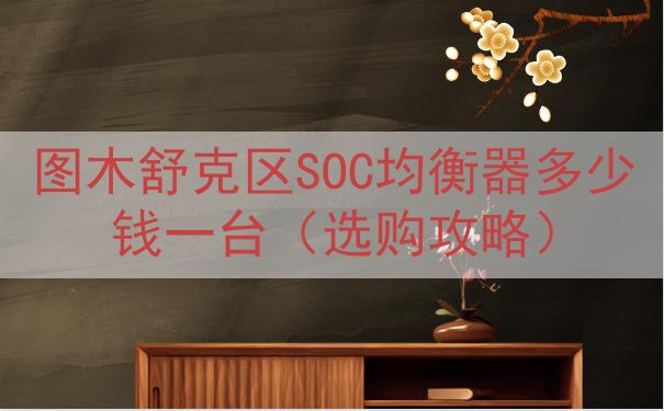图木舒克区SOC均衡器多少钱一台（选购攻略）